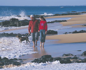 Back Beach - Accommodation Mount Tamborine 0