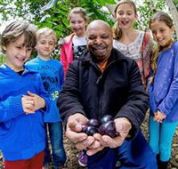 Wigay Aboriginal Culture Park - Accommodation Mount Tamborine