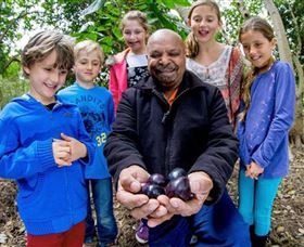 Wigay Aboriginal Culture Park - Accommodation Mount Tamborine 0