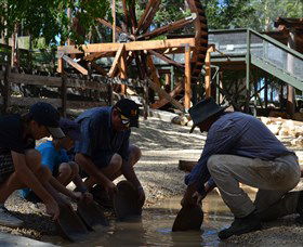Cedar Creek Goldfield - Accommodation Mount Tamborine 2