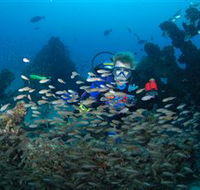 Aarhus Dive Site - Accommodation Mount Tamborine