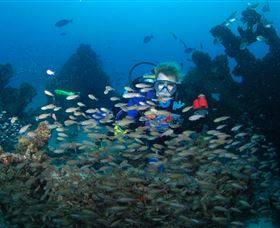 Aarhus Dive Site - Accommodation Mount Tamborine 0