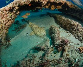 Aarhus Dive Site - Accommodation Mount Tamborine 3