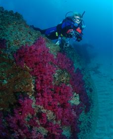 Aarhus Dive Site - Accommodation Mount Tamborine 2