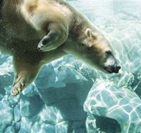 Australia's Sea World - Accommodation Mount Tamborine
