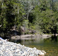 Mount Boss State Forest - Accommodation Mount Tamborine