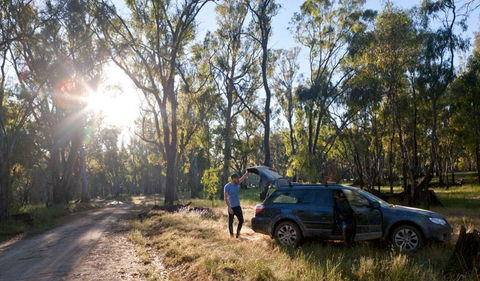 Wallingat Forest Drive - Accommodation Mount Tamborine 1
