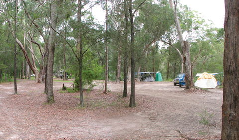 Wallingat National Park - Accommodation Mount Tamborine 1