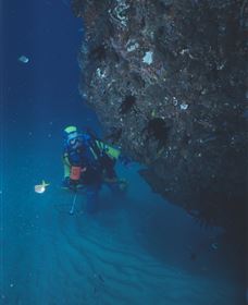 Scottish Prince Dive Site - Accommodation Mount Tamborine 1