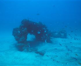 Scottish Prince Dive Site - Accommodation Mount Tamborine 2