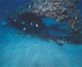 Scottish Prince Dive Site - Accommodation Mount Tamborine 3