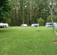 Coopernook Forest Park - Accommodation Mount Tamborine