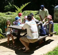 The Pines picnic area - Accommodation Mount Tamborine