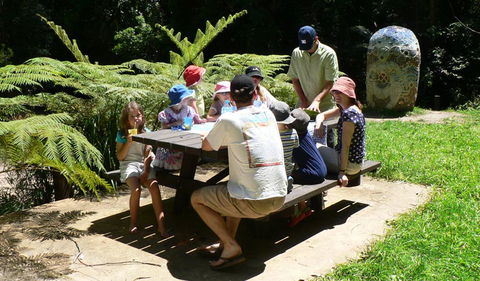 The Pines Picnic Area - Accommodation Mount Tamborine 0