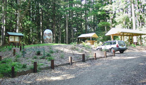 The Pines Picnic Area - Accommodation Mount Tamborine 2