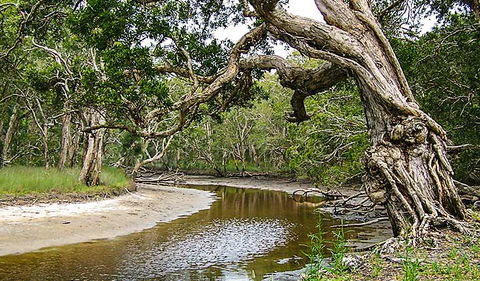 Saltwater National Park - Accommodation Mount Tamborine 0