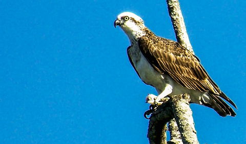 Saltwater National Park - Accommodation Mount Tamborine 1