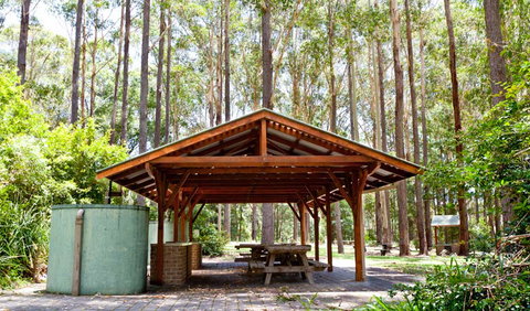 Bongil Picnic Area - Accommodation Mount Tamborine 0