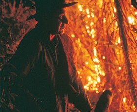 The Shed Gallery - Accommodation Mount Tamborine 0