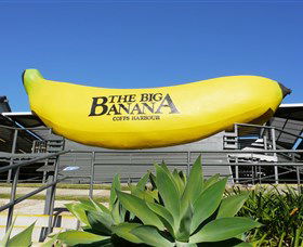 The Big Banana - Accommodation Mount Tamborine 0