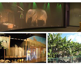 The Big Banana - Accommodation Mount Tamborine 2