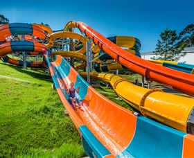 The Big Banana - Accommodation Mount Tamborine 6