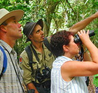 Falls walking track - Accommodation Mount Tamborine