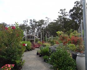 Abundance Lifestyle And Garden - Accommodation Mount Tamborine 6
