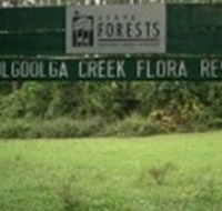 Woolgoolga Creek Flora Reserve - Accommodation Mount Tamborine
