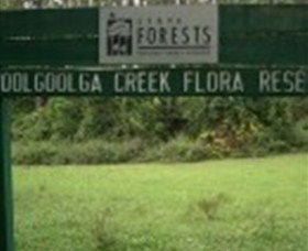 Woolgoolga Creek Flora Reserve - Accommodation Mount Tamborine 0