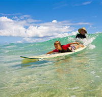 Cylinder Beach North Stradbroke Island - Accommodation Mount Tamborine