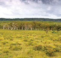 Yuraygir National Park - Accommodation Mount Tamborine