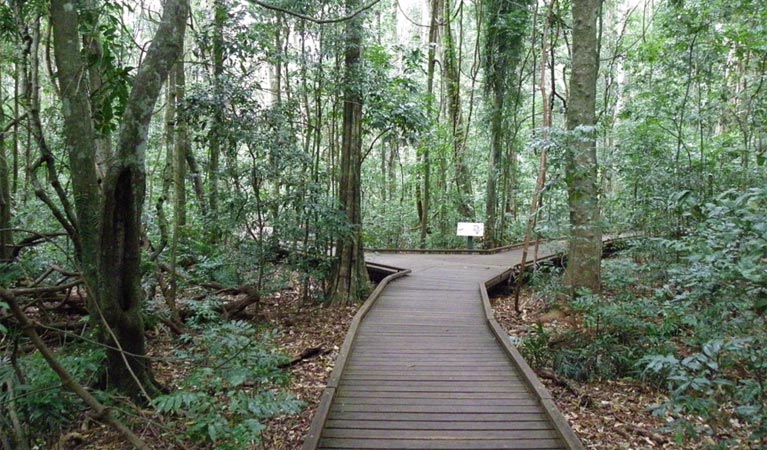 Dalwood NSW Accommodation Mount Tamborine