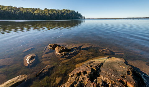 Queens Lake Nature Reserve - Accommodation Mount Tamborine 0