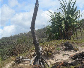 Chinamans Beach Evans Head - Accommodation Mount Tamborine 2