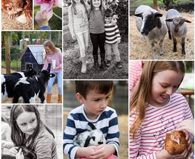 Roses Vineyard And Animal Farm - Accommodation Mount Tamborine 1