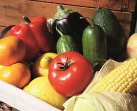 Summerland House Farm - House With No Steps - Accommodation Mount Tamborine 1