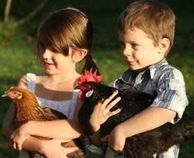 Summerland House Farm - House With No Steps - Accommodation Mount Tamborine 2