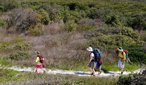 Yuraygir Coastal Walk - Accommodation Mount Tamborine 0