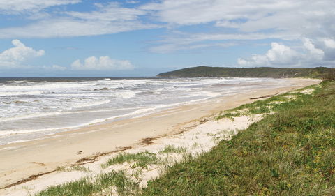 Yuraygir Coastal Walk - Accommodation Mount Tamborine 1