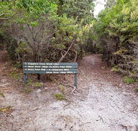 Angophora grove walking track - Accommodation Mount Tamborine