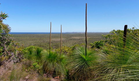Broadwater National Park - Accommodation Mount Tamborine 1