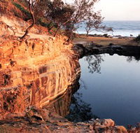 Angourie Blue Pool - Accommodation Mount Tamborine