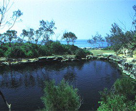 Angourie Blue Pool - Accommodation Mount Tamborine 2