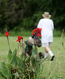 Teven Valley Golf Course - Accommodation Mount Tamborine 3