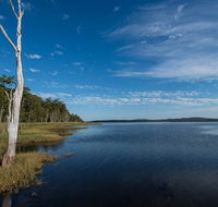 Lake Innes Nature Reserve - Accommodation Mount Tamborine