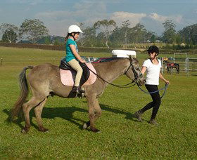 Port Macquarie Horse Riding Centre - Accommodation Mount Tamborine 0