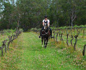 Port Macquarie Horse Riding Centre - Accommodation Mount Tamborine 1