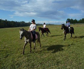 Port Macquarie Horse Riding Centre - Accommodation Mount Tamborine 5