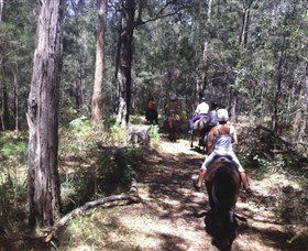 Port Macquarie Horse Riding Centre - Accommodation Mount Tamborine 4